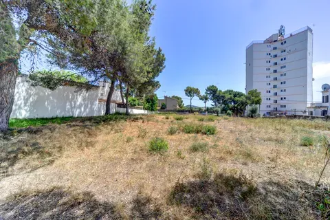 Land in Palmanova, Mallorca — photo 4