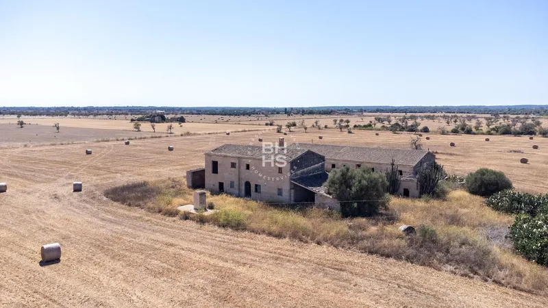 Rustic Finca for sale in Campos — photo 4