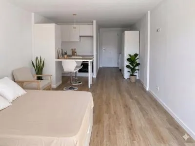 Studio - Calvià (Peguera) — photo 4