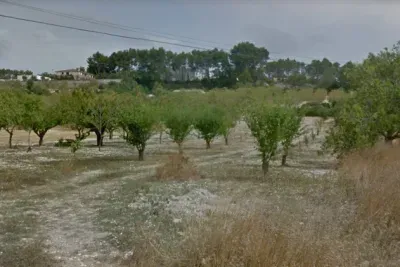 Cultivable land in Sant Joan — photo 2