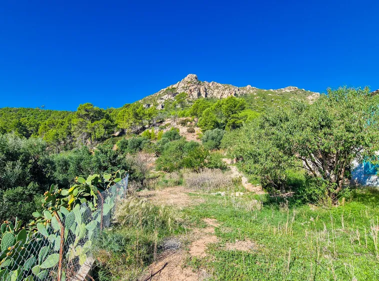 Ref.2262C – Andratx – Rustical Finca with spectacular views — photo 4