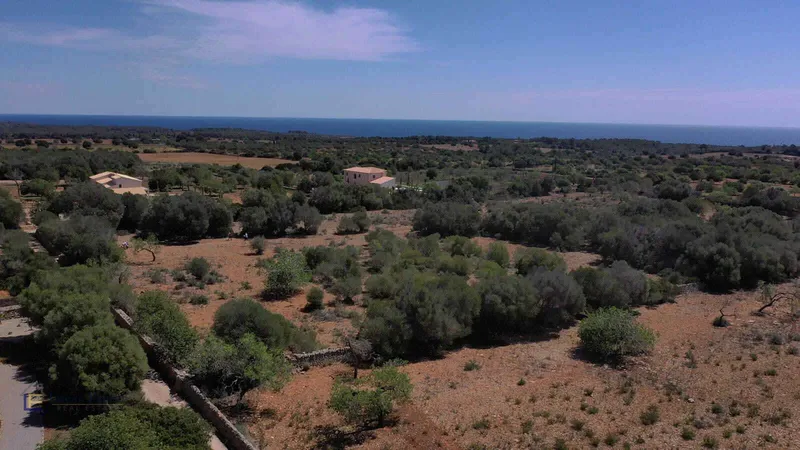 Plot near Cala Murada with sea views — photo 4