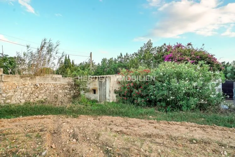 Spacious building plot for sale in Muro, Mallorca — photo 6