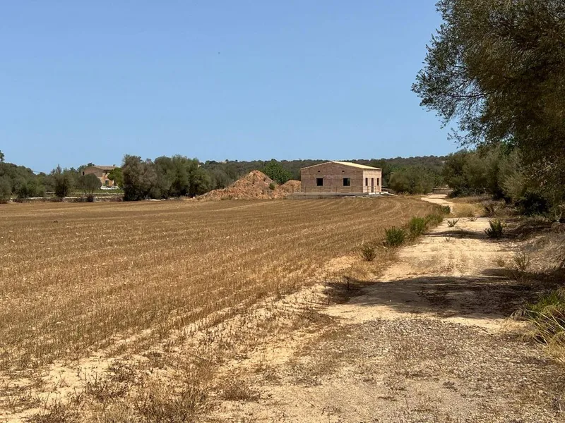 Rural or Farmhouse in Felanitx, Province of Balearic Islands — photo 7