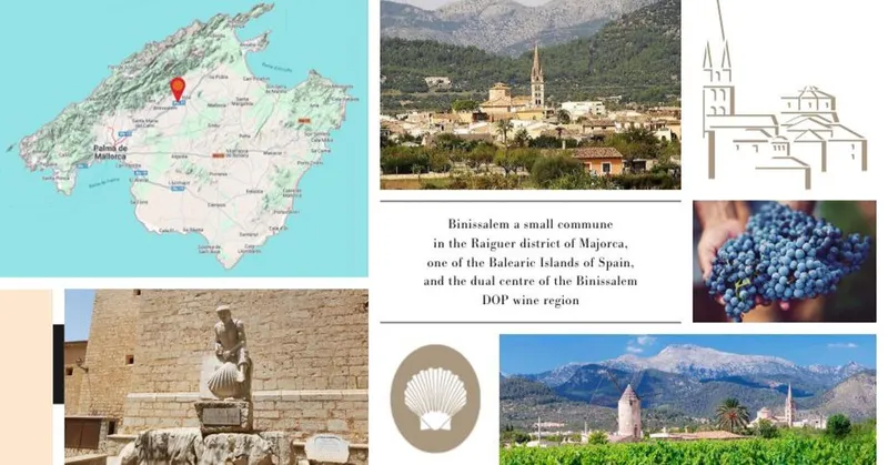 Unique Investment in Binissalem, Mallorca: Historic Hotel with Residential Project — photo 11