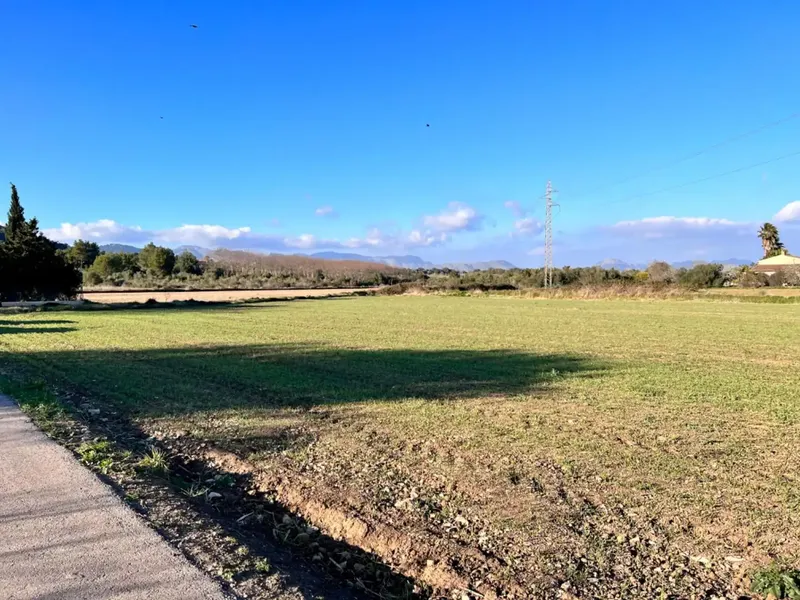 Rustic estate in Alcudia, with an area of approximately 23,000 m2, possibilities to build a detached single-family home and — photo 7