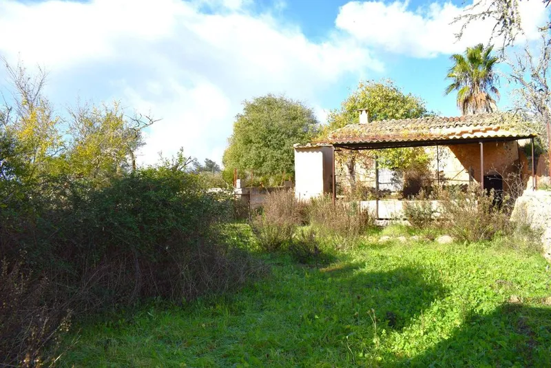 Land in Llubí, Province of Balearic Islands — photo 9