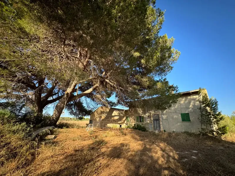 Finca of 22370 m2 with 213 m2 built, 88 m2 as dwelling and 125 m2 as agricultural, including a 35 m2 pool and garage — photo 6