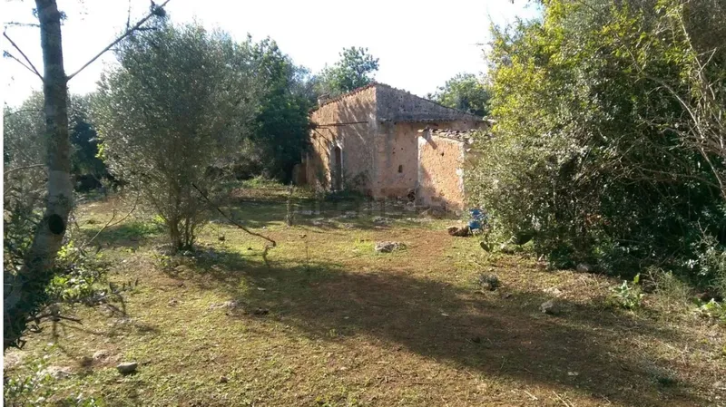 Rustic estate with tool shed — photo 3
