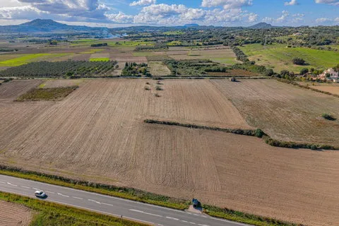 Land in Petra, Mallorca — photo 9