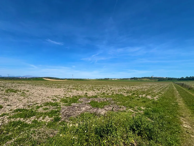 Exclusive Real Estate Opportunity in Petra Dream Plot with Endless Possibilities — photo 5