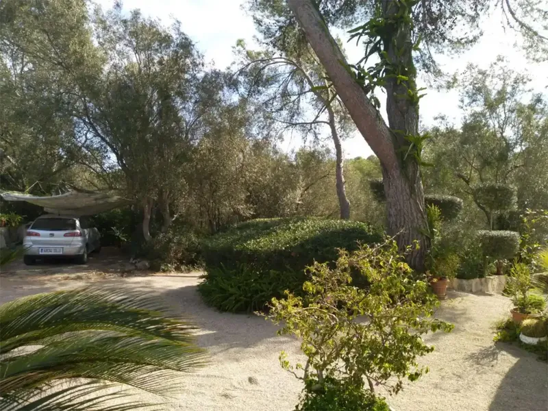 🌿 Finca rústica con casa independiente, piscina y placas solares en Algaida, cerca de Palma — photo 9