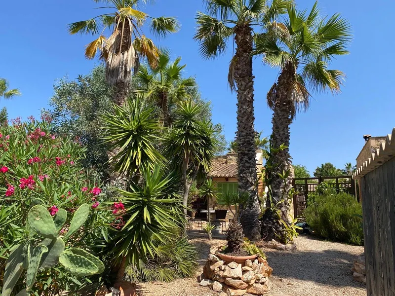 Cozy Townhouse with big garden in Sa Ràpita — photo 7