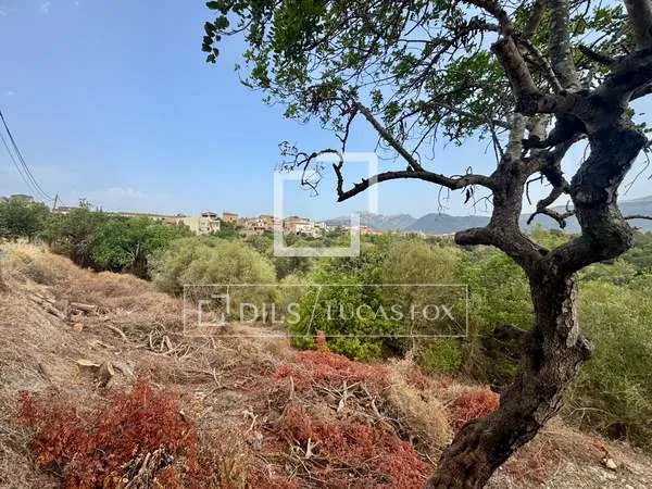 347m² plot with 347m² garden for sale in Campanet — photo 8