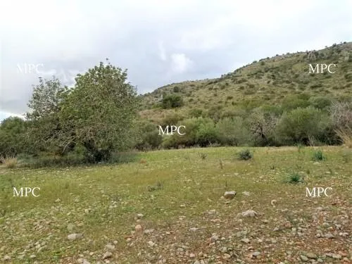 Rustic plot with sea views in Sant Llorenç des Cardassar — photo 1