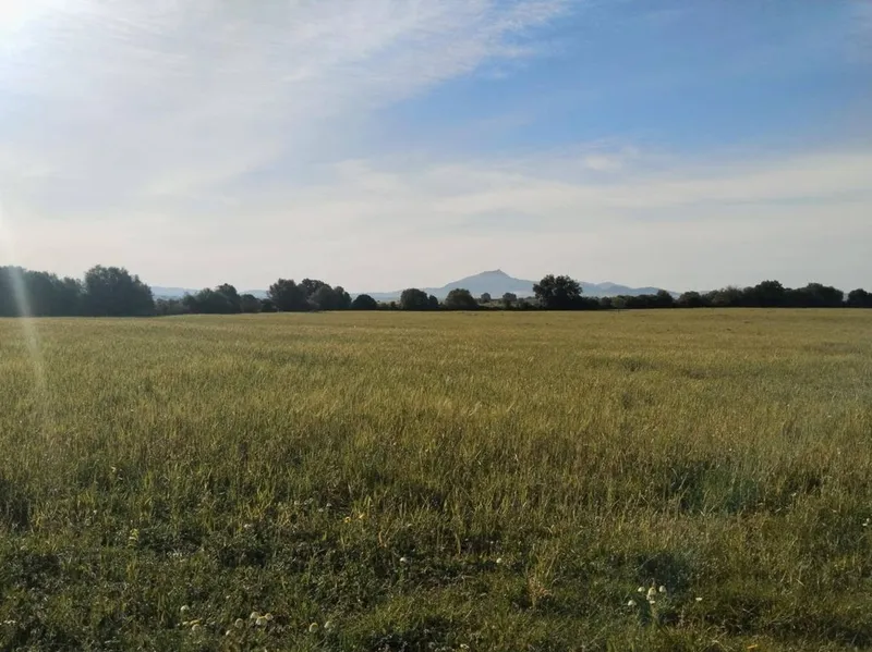 Land in Felanitx, Province of Balearic Islands — photo 1