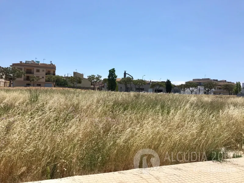 Plot — photo 8