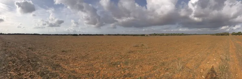 Large plot with beautiful construction project of a Finca in Campos — photo 1