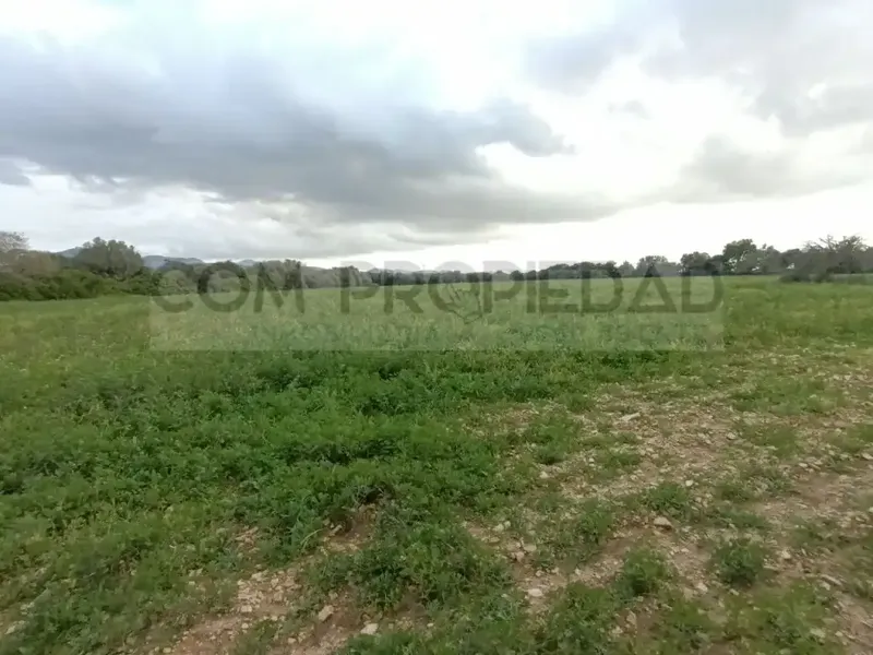 Rustic estate of 217,089 m² of own land, located between Felanitx and Porreres. It has a project for a rural hotel or agrotourism that — photo 10
