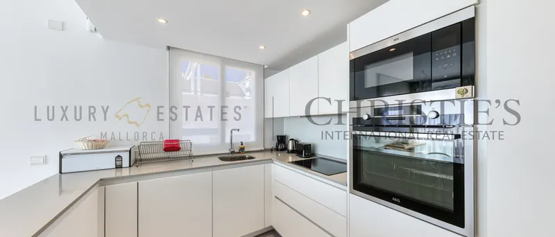 Penthouse in Mallorca with sea view in Camp de Mar near Port Andratx — photo 3