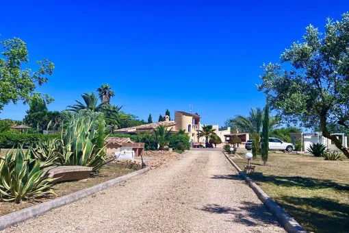 Llucmajor, modern finca in Llucmajor with pool and guest house — photo 2