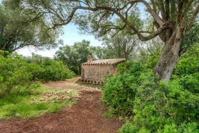 Beautiful land in Felanitx with project — photo 1