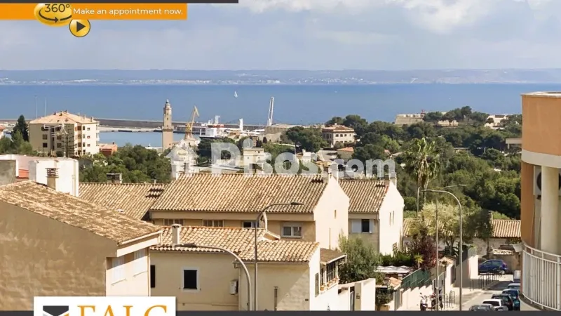 Apartment in Cala Major — photo 2