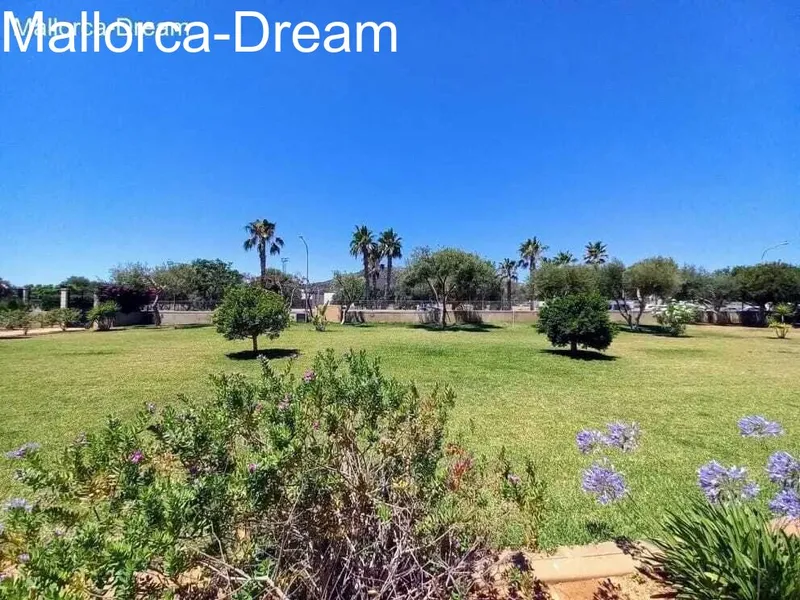 Cala Millor: Beautiful penthouse in well maintained complex — photo 7