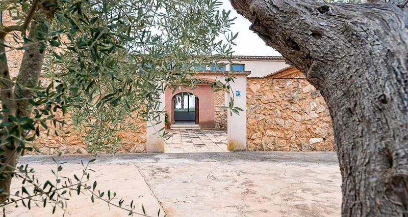 Rural or Farmhouse in Binissalem, Province of Balearic Islands — photo 9