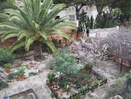 Single family house - Calvià (Costa de la Calma), built surface 260 m², plot surface 657 m², 3 bedrooms,... — photo 5
