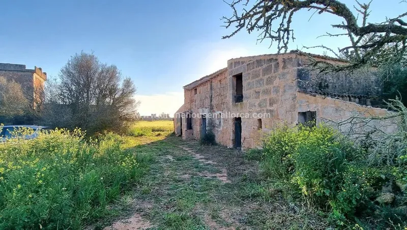 Finca to renovate in quiet area between Santanyí and Campos — photo 9