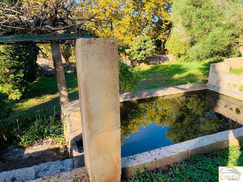 Authentic finca with Mediterranean charm and mature trees near Capdepera — photo 8