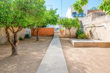 Terraced house - Palma de Mallorca (L'Olivera - Amanecer) — photo 1