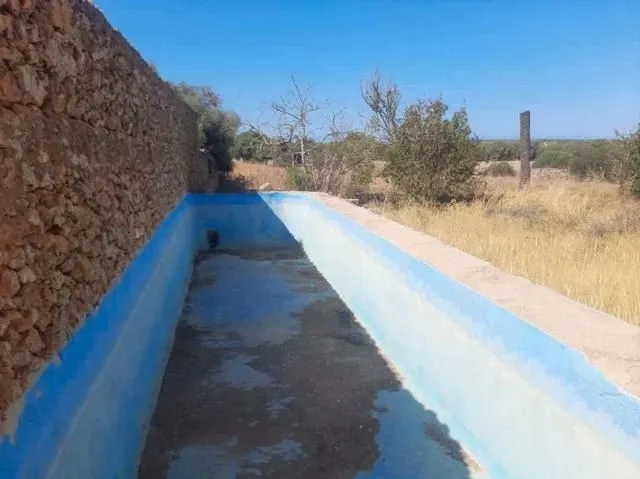 Large Mallorcan estate in Campos - 150,000 m² just 2 km from Es Trenc — photo 8