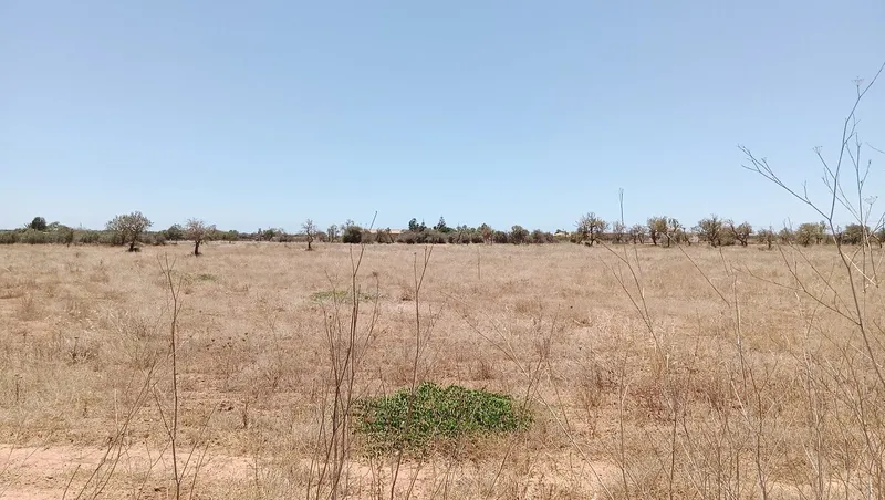 Rustic Land in Campos — photo 4