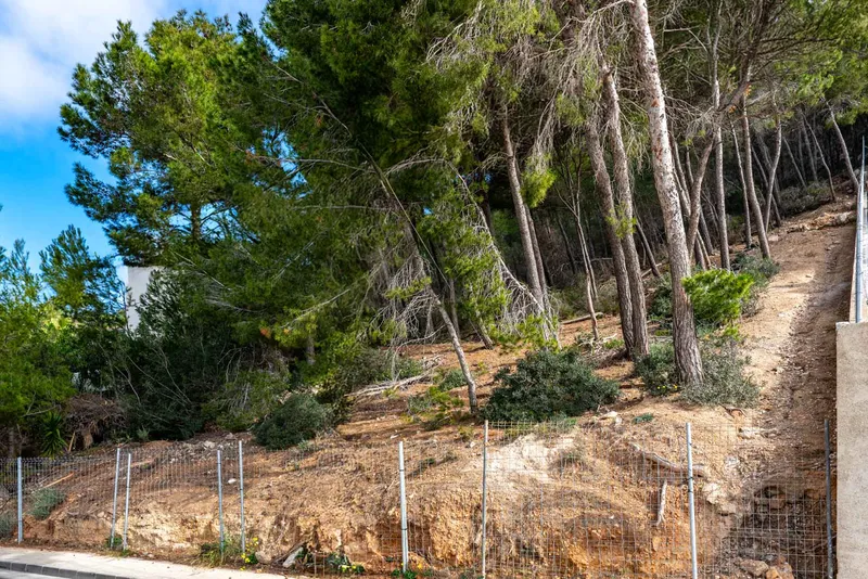 Exclusive plot with approved building project in Port Andratx — photo 7