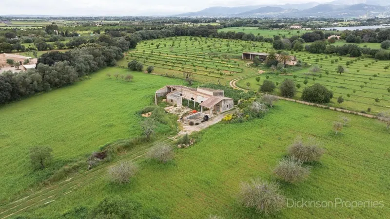 A 47,231 m² plot in Binissalem, Mallorca, with an approved building license, offering panoramic mountain views and proximity to the village center. — photo 7