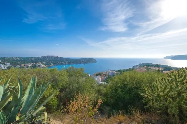 Sea view building plot with licence Mallorca in Calvià / Costa de... — photo 2