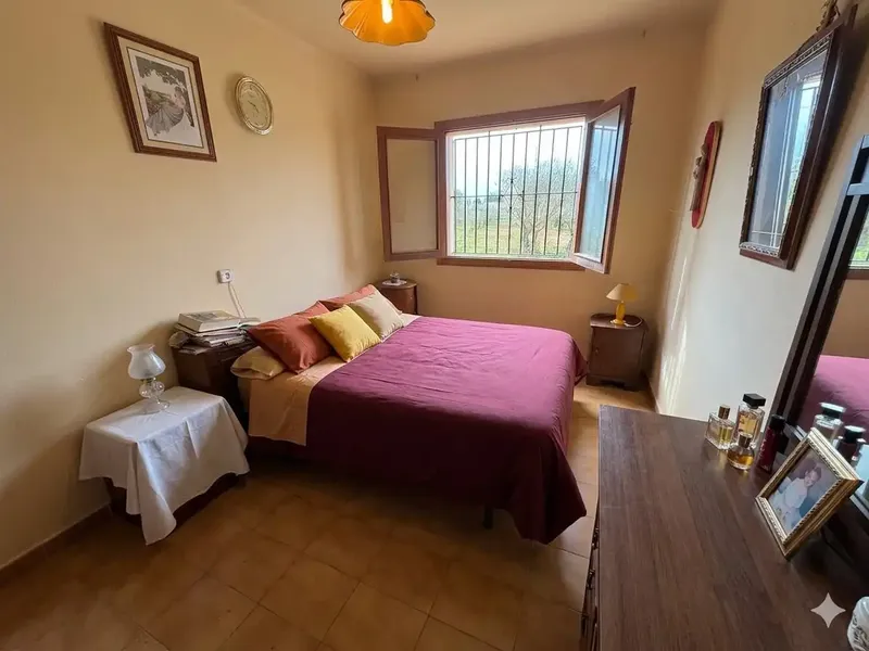 Rustic finca with great potential and open views in Llucmajor — photo 5