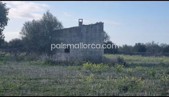 Country House in Llucmajor — photo 9