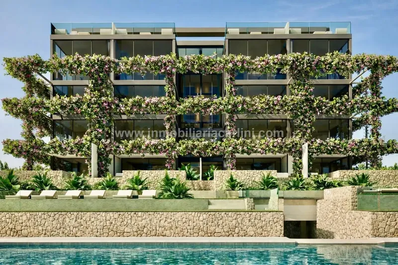 BONANOVA HILLS — photo 2