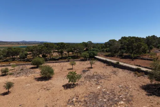 Cala Mandia, Beautiful Plot with Stunning Panoramic Views and Project near Cala Mandia — photo 9