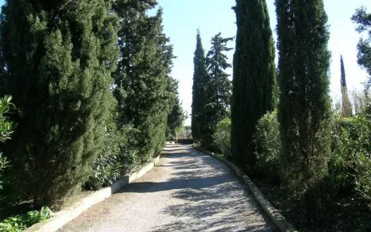 Finca in Establiments — photo 3