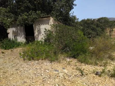 Rustic Land - Sant Llorenç des Cardassar, Plot Surface 3500m², Distance to the Sea 12 Km — photo 2