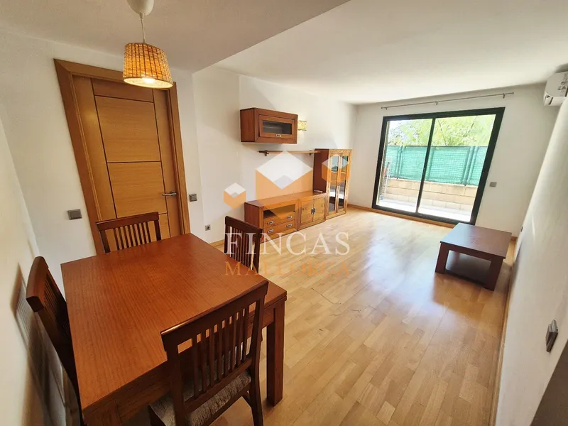 Ground floor apartment with community pool in Estadi Balear – Son Güells area – NOT AVAILABLE — photo 3