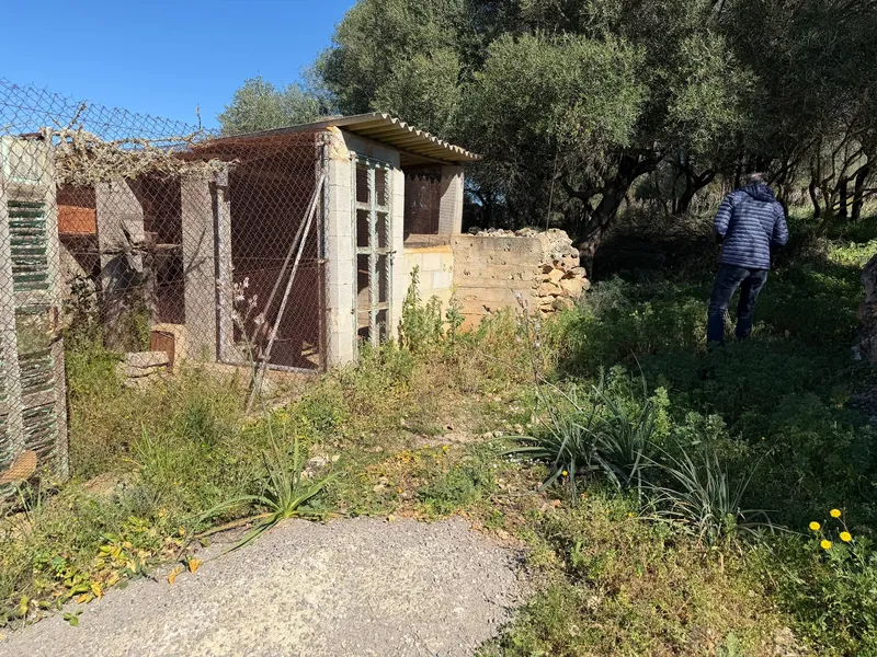 Rural land in Santa Margalida, plot surface 25574.5 m² — photo 2