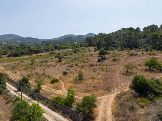 Plot with approved project and license for sale in Binissalem, Central Mallorca — photo 12