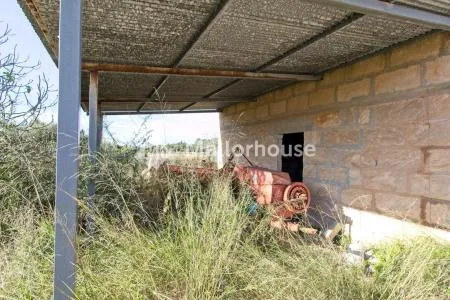 Urbanizable land - Llubí (Llubi), Plot Surface 25600m², Distance to the sea 15 Km. — photo 2