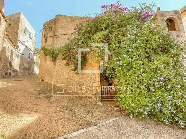807m² building for sale in North Mallorca, Balearic Islands — photo 4