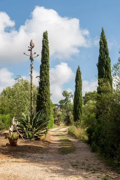 Country home on large plot in a private location — photo 9